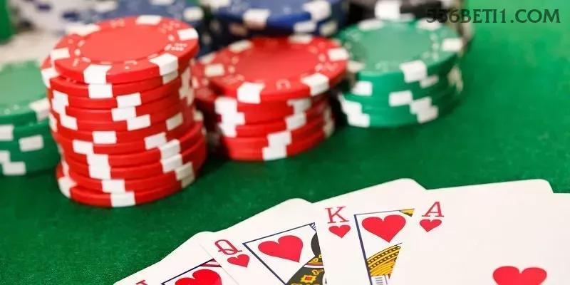 556bet multi dispositivo